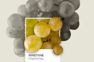Close-up of grapes used in organic wine production